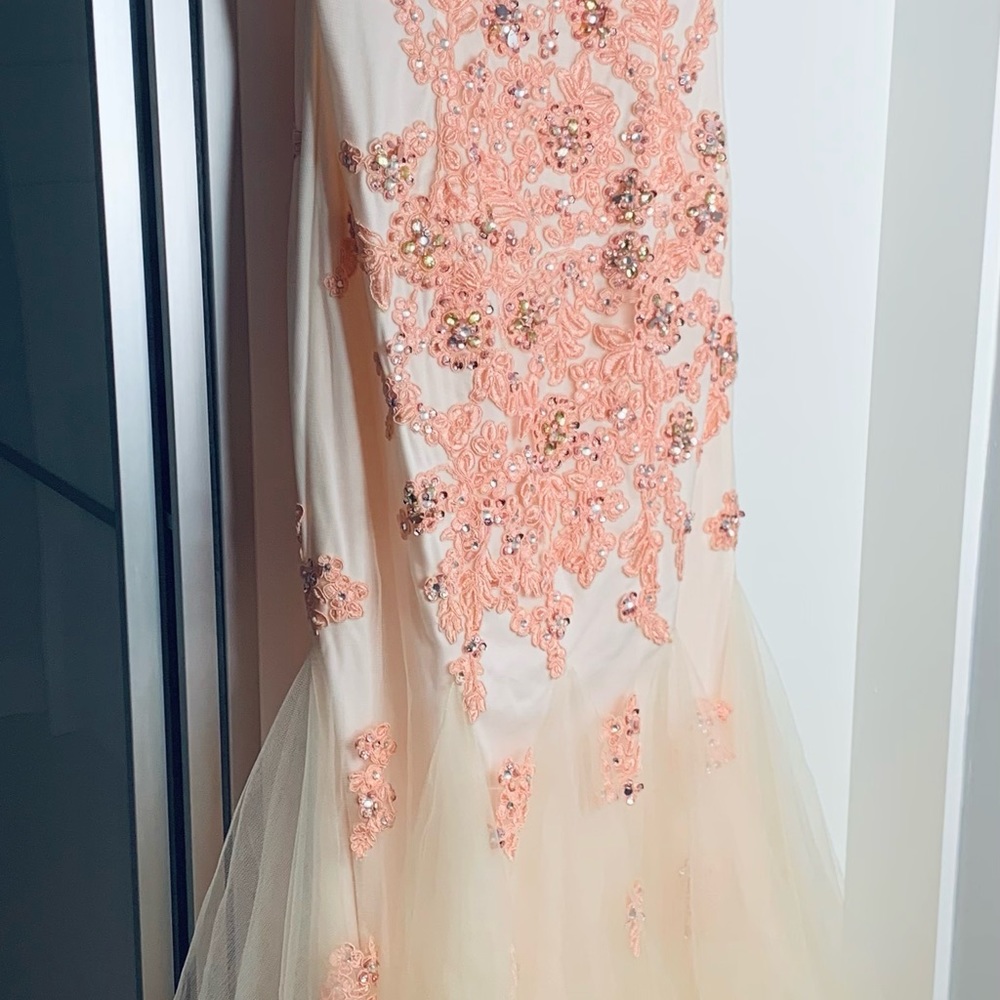 A speed Design  Salmon Pink Mesh Neckline Sleeveless Mermaid Gown - Picture 6 of 9